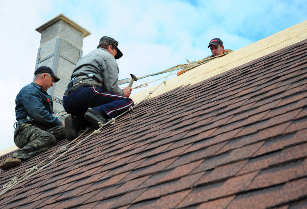 Best Storm Damage Roof Repair  in Kayenta, AZ